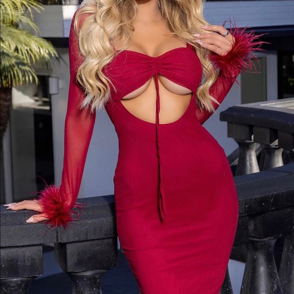 Burgundy midi long sleeves mesh & feather detailing